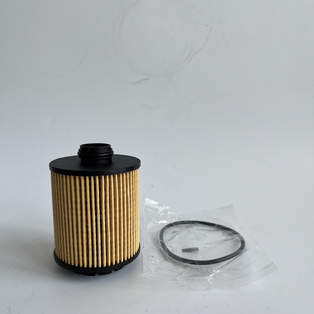 HU7043Z 1612565980 Bộ lọc dầu cho Petgeot